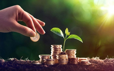 Điểm danh loạt doanh nghiệp chia cổ tức bằng tiền mặt ‘khủng’ trong năm 2025