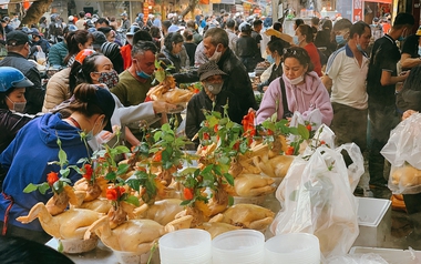"Mua gà từ nông dân để bán cúng thắp hương ngày rằm, mùng 1 và Tất niên có cần phải ghi chép, kê khai hay không?" - Cục Thuế trả lời