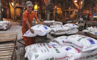 Các doanh nghiệp ngành phân bón, hóa chất làm ăn ra sao trong năm 2025