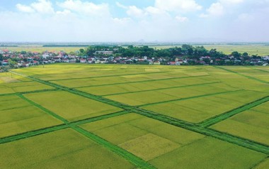 Quy định tính tiền sử dụng đất đối với hộ gia đình, cá nhân khi chuyển từ đất nông nghiệp sang đất ở năm 2026