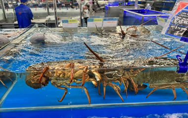 Việt Nam vừa đón một tin cực vui từ Trung Quốc