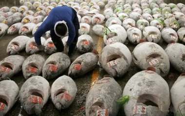 Việt Nam đón tin vui từ Mỹ