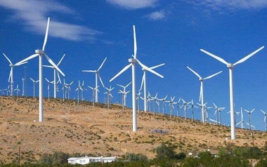 Điện Gió Phong Liệu thanh toán gần 59 tỷ đồng lãi trái phiếu trong năm 2025