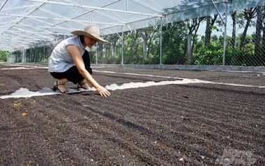 Việt Nam đón thêm tin vui từ Mỹ