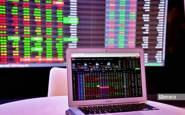 Rà soát tư cách công ty đại chúng đối với các DNNN