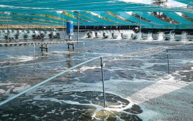 Việt Nam vừa đón tin cực vui từ Mỹ và Trung Quốc