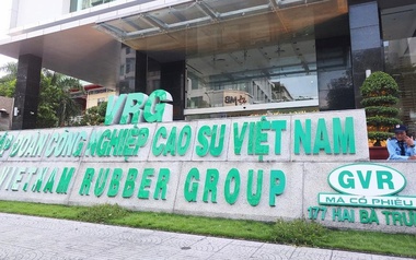 Một số công ty con của GVR thua lỗ, rủi ro mất vốn nhà nước