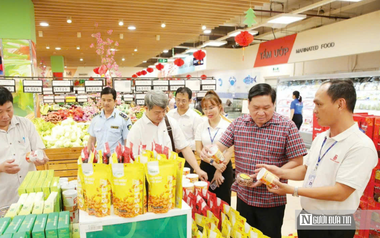 Tăng cường công tác quản lý, điều hành và bình ổn giá dịp tết Nguyên đán Bính Ngọ