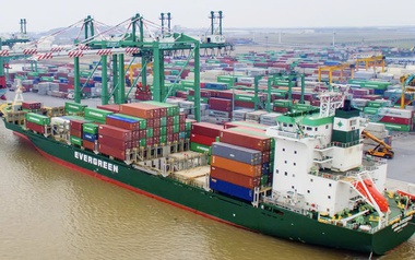 Viconship hoàn tất nhận chuyển nhượng 65% vốn một doanh nghiệp để thực hiện dự án tại Hải Phòng