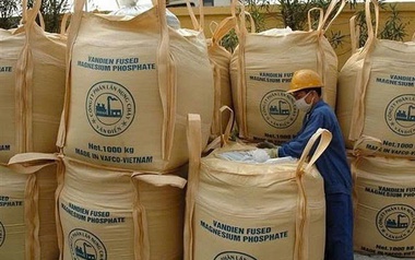 Phân lân Văn Điển bị nhắc nhở vì chậm giải trình ý kiến kiểm toán