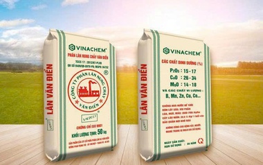 Cổ phiếu VAF của Phân lân Văn Điển đối diện nguy cơ hủy niêm yết bắt buộc