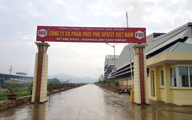 Công ty 'cháu' của Hóa chất Đức Giang thông báo bầu thay thế 4 thành viên HĐQT