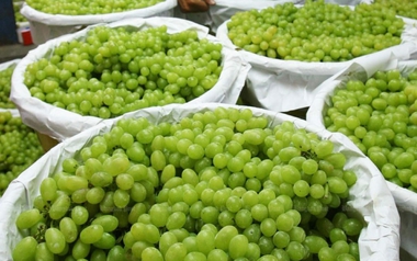 Trung Quốc vừa đón tin cực vui từ Việt Nam