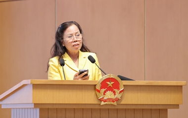 Doanh nghiệp dệt may 30 năm tuổi gây bất ngờ: Trồng tía tô bán 700 đồng/lá, vải không hạt 400.000 đồng/kg