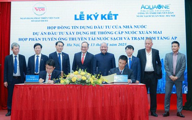 Một thành viên Tập đoàn Aqua One hết lỗ lũy kế, nợ phải trả gấp đôi vốn chủ sở hữu