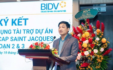 Gia đình Chủ tịch DIC Corp bị bán giải chấp gần 12 triệu cổ phiếu DIG