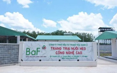 Nông nghiệp BAF hướng đến mức lợi nhuận kỷ lục, chia cổ tức và cổ phiếu thưởng tổng tỷ lệ 20%