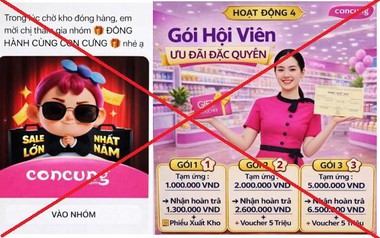Làm nhiệm vụ online trên nhóm "Đồng hành cùng Con Cưng", một người phụ nữ bị mất tiền tỷ