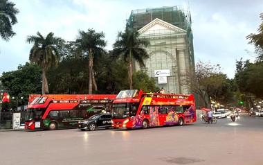 Từ du lịch đến bảo tồn biển: KDI Holdings tham gia các hoạt động vì phát triển bền vững tại Nha Trang