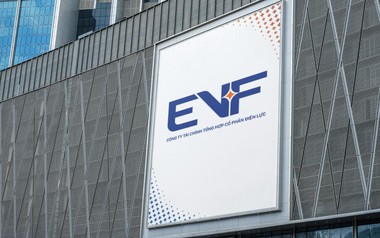 EVF duy trì đà tăng trưởng, lợi nhuận quý I/2026 tăng 8,1%