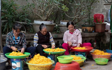 Bảo tồn tinh hoa làng nghề truyền thống tơ lụa Cổ Chất