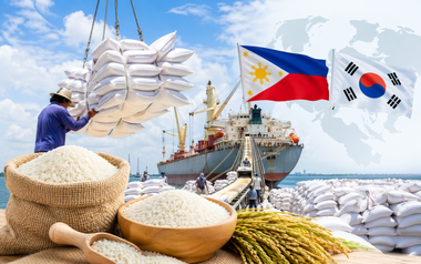 Tín hiệu cực vui cho 'hạt vàng' Việt Nam: Hai khách sộp đua 'vét hàng', hàng trăm tàu sẵn sàng vươn khơi