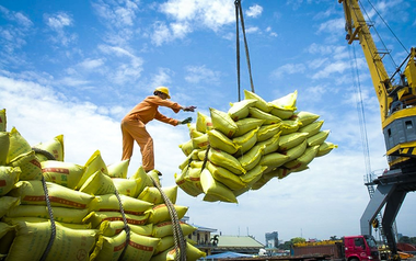 Một mặt hàng 'tỷ đô' của Việt Nam đón tin cực vui từ Philippines và Trung Quốc - triển vọng mang về 5 tỷ USD