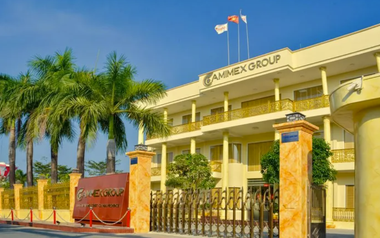 Cổ phiếu CMX của 'đại gia thủy sản' Camimex Group bị giữ nguyên diện cảnh báo