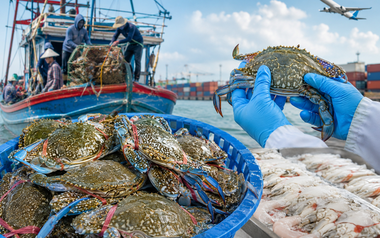 Việt Nam đón tin vui từ Mỹ