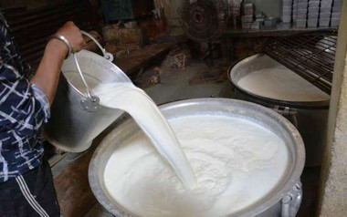 Đột kích một nhà máy, công an triệt phá đường dây sản xuất sữa giả, tịch thu hàng trăm lít hóa chất và máy trộn công nghiệp