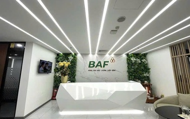 Baf Việt Nam nhận chuyển nhượng 25% vốn góp một doanh nghiệp chăn nuôi tại Gia Lai