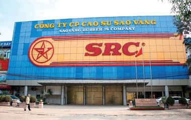 Cao su Sao Vàng dự kiến phát hành hơn 8,4 triệu cổ phiếu để tăng vốn