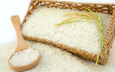 Nước mua gạo lớn nhất thế giới ra cảnh báo mới, tàu Việt vẫn dồn dập cập cảng