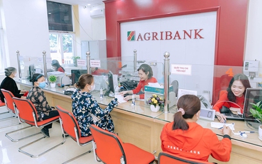 Agribank dự kiến chào bán tối đa 15.000 tỷ đồng trái phiếu