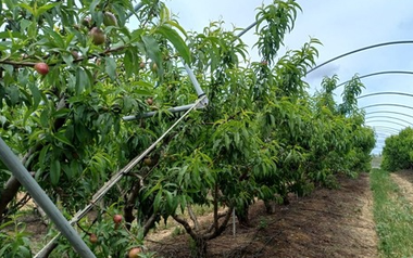 Không phải dầu thô, một mặt hàng của Iran đang gặp khó do xung đột: Mỗi lô hàng lỗ 50%, Ấn Độ bị ‘vạ lây’