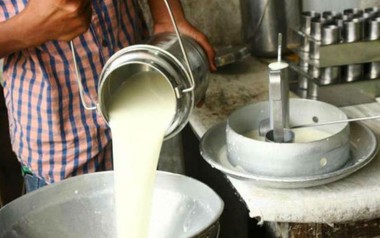 Đột kích một căn nhà, công an triệt phá đường dây sản xuất sữa giả từ hóa chất, tịch thu bột mì, sorbitol và máy pha trộn công nghiệp