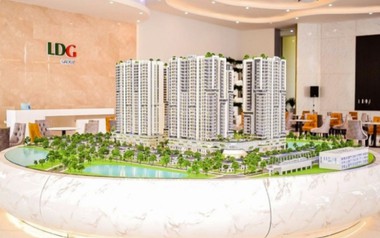 Một Thành viên HĐQT LDG xin từ nhiệm