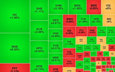 Chứng khoán ngày 25/5: VN-Index tăng gần 9 điểm