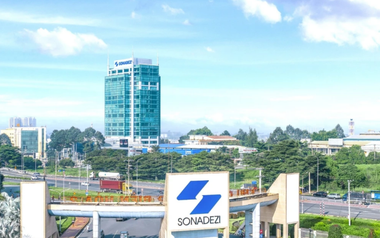 Khởi tố Trưởng Ban Kiểm soát Sonadezi