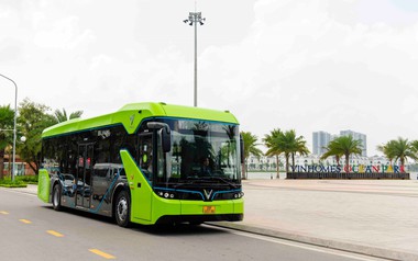 Dùng VinBus 'mồi' khách cho bất động sản: Chiến lược tự túc hạ tầng giao thông của Vingroup tại Hạ Long Xanh
