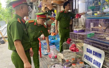 Bán chim phóng sinh, 3 hộ kinh doanh bị tịch thu hàng