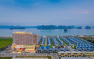 CEO Group chốt ngày phát hành hơn 28 triệu cổ phiếu trả cổ tức