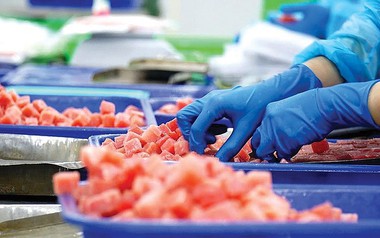 Quốc gia châu Phi báo tin vui cho Việt Nam: Nhập khẩu 1 loại 'siêu thực phẩm' tăng mạnh