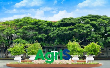 AgriS phát hành gần 1.000 tỷ đồng trái phiều chuyển đổi để cơ cấu nợ