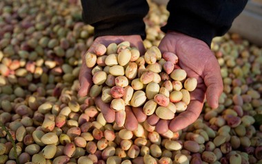 Đắt hơn sầu riêng, Việt Nam vừa thu hàng trăm triệu USD từ loại quả không thể tự trồng, giá lập đỉnh 8 năm vì xung đột Iran
