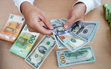 Đề xuất sửa đổi Nghị định về quản lý dự trữ ngoại hối Nhà nước