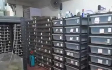Phát hiện một căn hộ có lượng điện tiêu thụ nhiều bất thường, cảnh sát ập vào, chứng kiến cảnh tượng rùng mình