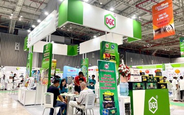 Hóa chất Đức Giang dự kiến thời gian khắc phục ý kiến ngoại trừ của kiểm toán về hàng tồn kho