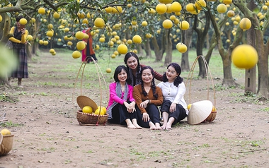 ‘Miếng bánh’ đặt vé du lịch trực tuyến hướng tới quy mô gần 5 tỷ USD, doanh nghiệp ngoại tiếp tục áp đảo