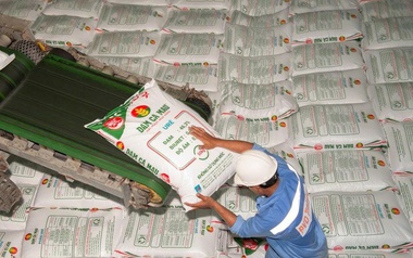 Đạm Cà Mau chốt chi hơn 1.000 tỷ đồng trả cổ tức trong tháng 7